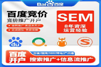 SEM推广案例：揭秘高ROI背后的策略与实践